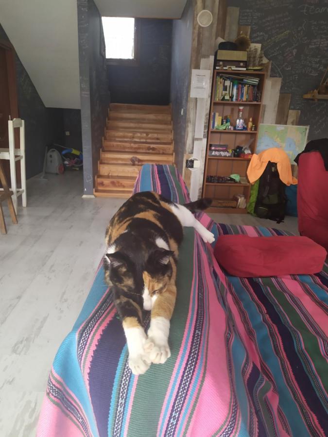 Chillsteps Hostel Fethiye Eksteriør billede