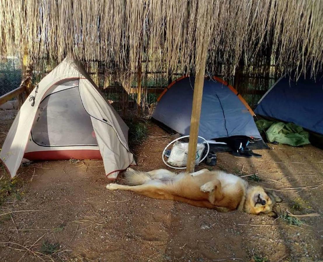 Chillsteps Hostel Fethiye Eksteriør billede